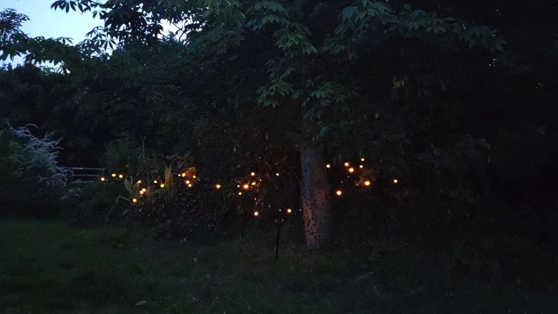 Load video: A video about our fireflies lights